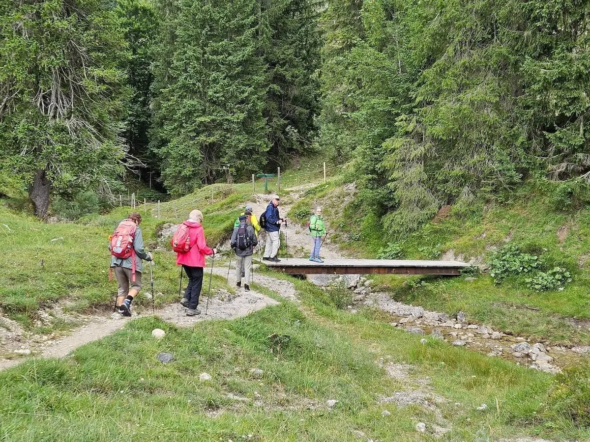 Sechs Wandernde überqueren eine schmale Holzbrücke über einen Bachlauf im Wald – umgeben von Wiesen und Nadelbäumen. | © DAV Markt Schwaben | Foto Hubert Inhofer