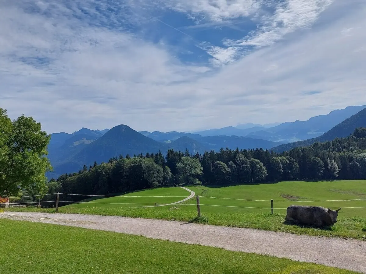 Eine Kuh liegt nahe eines Wanderwegs auf grüner Wiese, dahinter Waldstreifen und Bergkette im Sonnenlicht. | © DAV Markt Schwaben | Foto Hubert Inhofer
