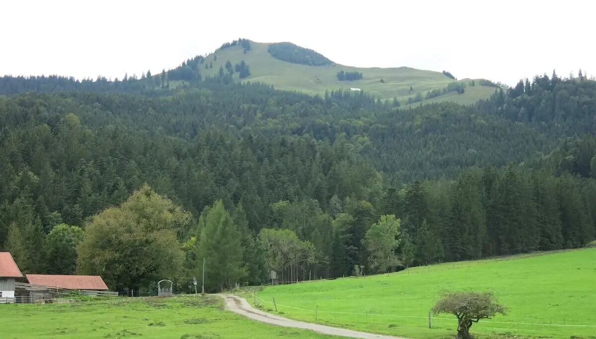 Grüner Wiesenweg führt zu Almgebäuden mit roten Dächern; rechts ein einzelner Baum, dahinter bewaldete Berghänge. | © DAV Markt Schwaben | Foto Erwin Matzinger