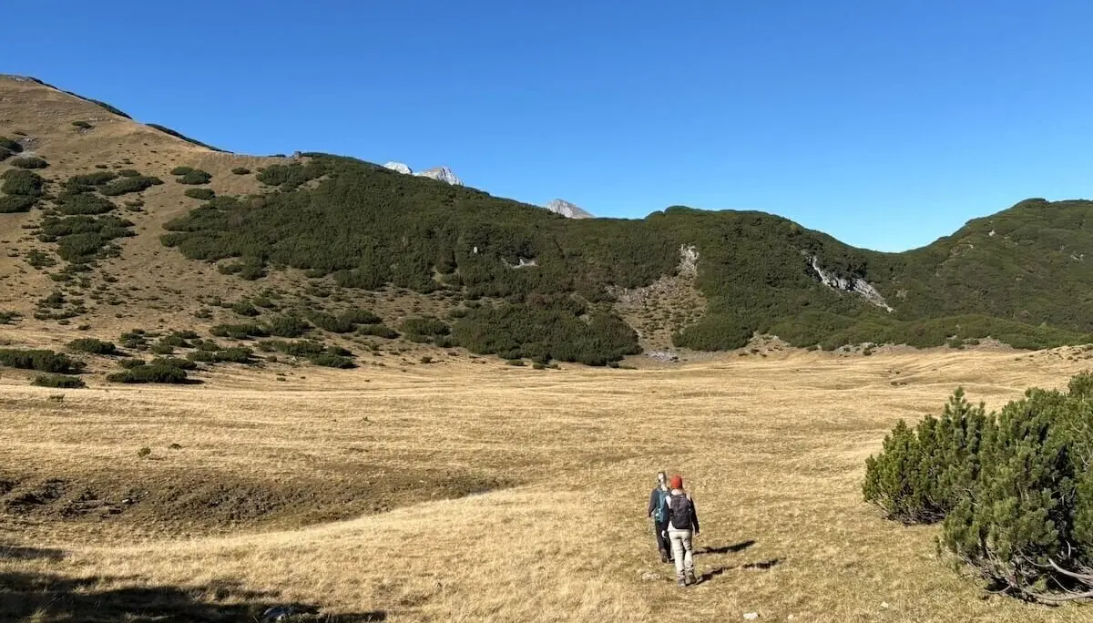 Eine Person wandert mit Rucksack durch eine offene Almfläche; im Hintergrund sanfte Hänge mit Sträuchern und Bäumen. | © DAV Markt Schwaben · Foto: Markus Zimmermann