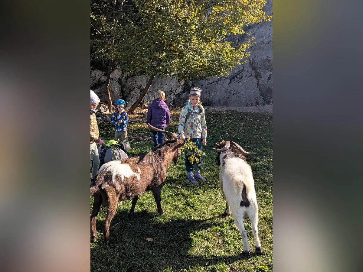 Drei Kinder mit Helmen sind an einem geneigten Felsen aktiv: Zwei klettern, eines steht unten und hält ein Seil. Die Umgebung ist natürlich mit Gras und Herbstlaub. | © DAV Markt Schwaben · Foto: Silke Titze