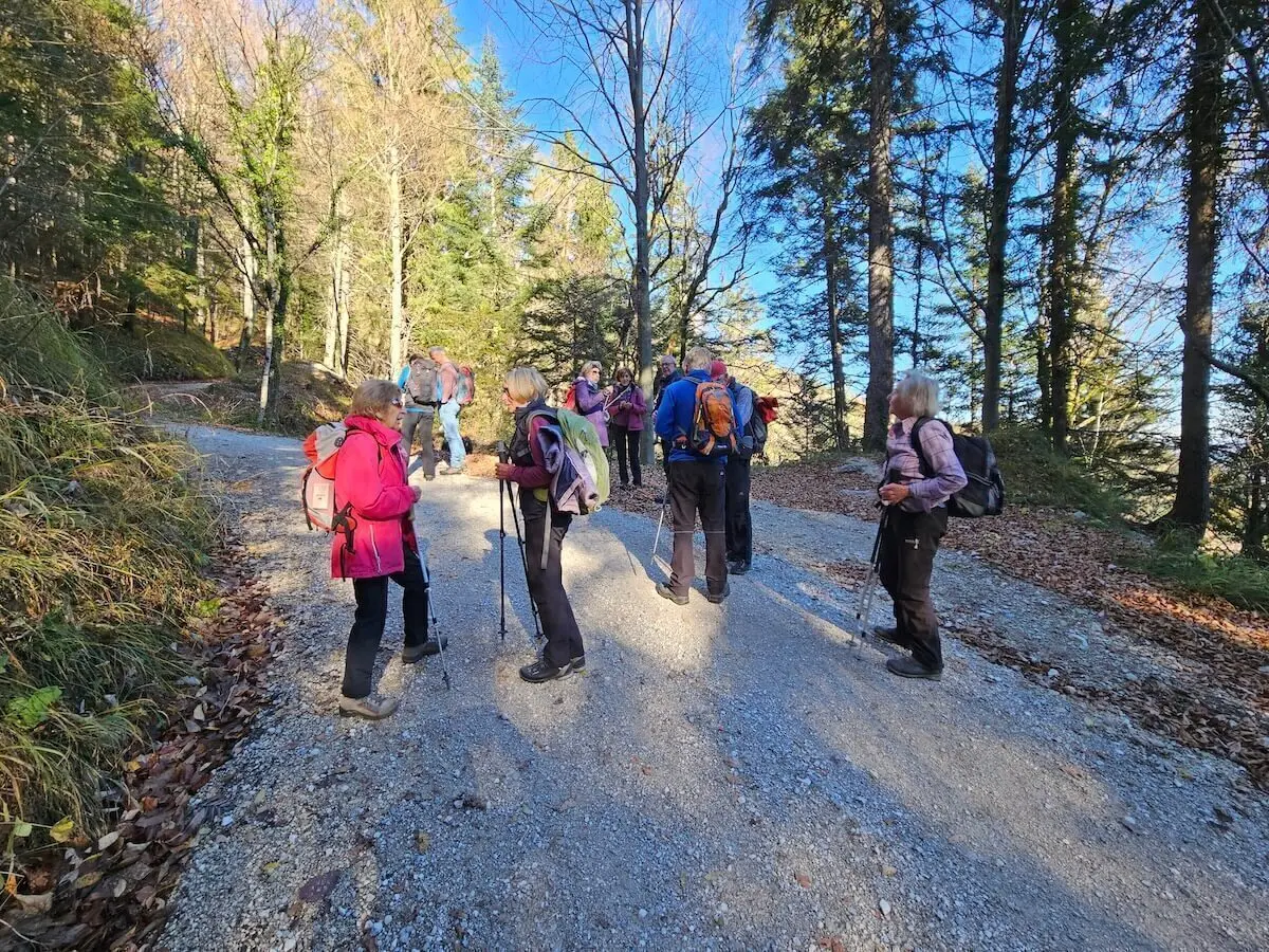 Gruppe Wandernder mit Rucksäcken und Stöcken auf herbstlichem Waldweg, Sonnenlicht fällt durch hohe Bäume. | © DAV Markt Schwaben · Foto: Hubert Inhofer