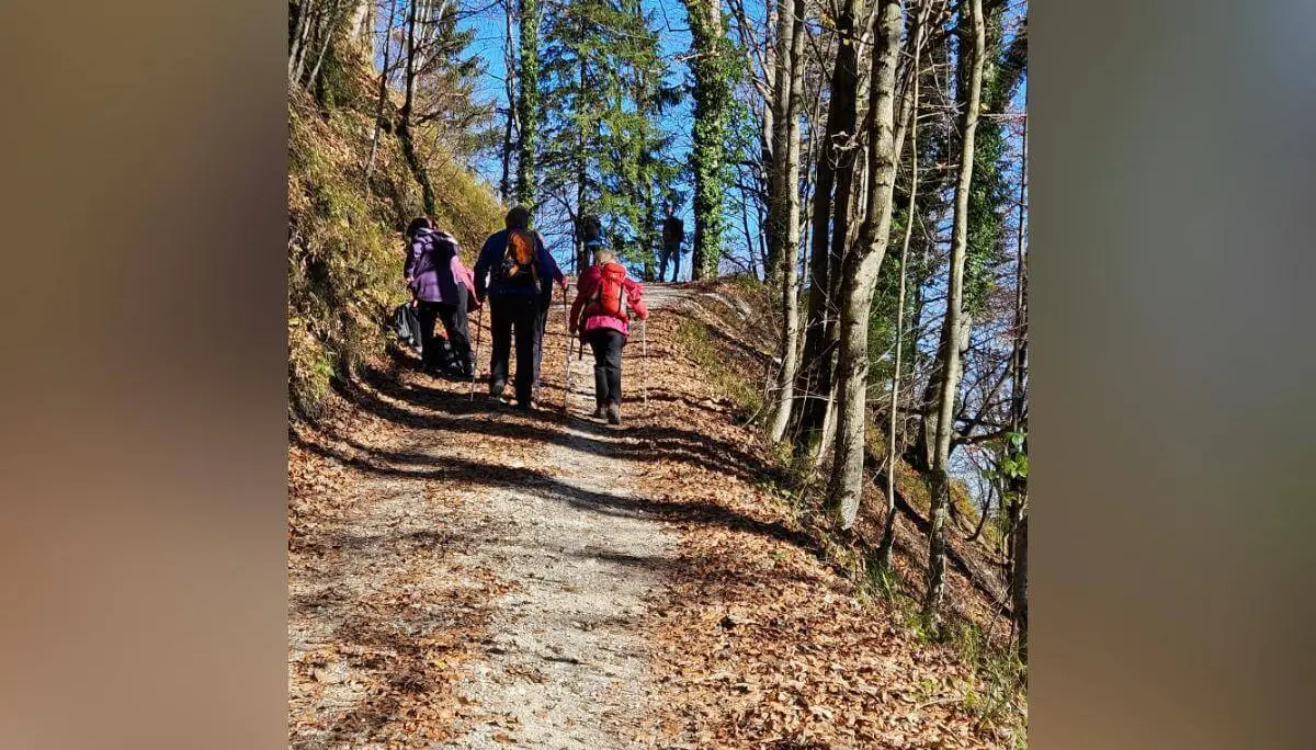 Vier Wandernde steigen auf laubbedecktem Waldpfad bergauf, umgeben von kahlen Bäumen und klarem Himmel. | © DAV Markt Schwaben · Foto: Hubert Inhofer