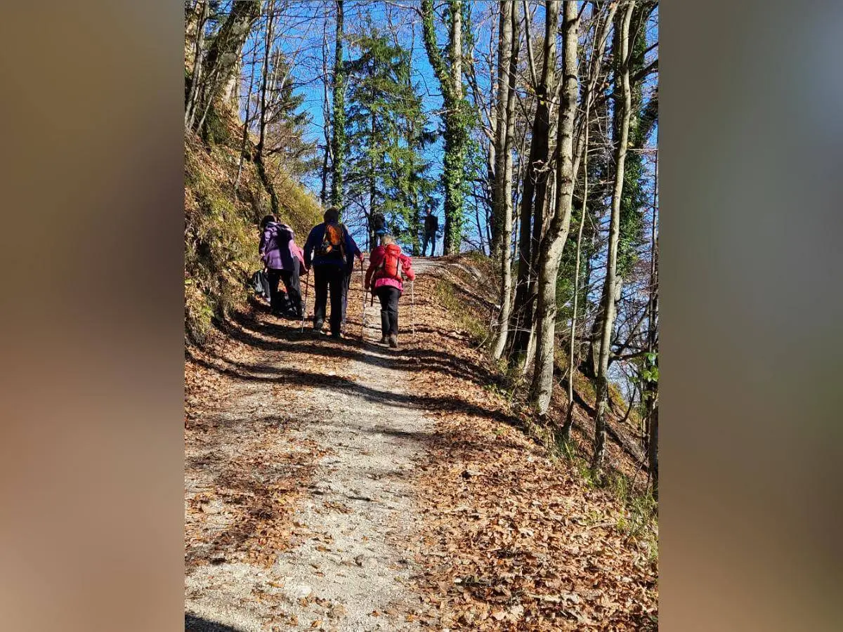 Vier Wandernde steigen auf laubbedecktem Waldpfad bergauf, umgeben von kahlen Bäumen und klarem Himmel. | © DAV Markt Schwaben · Foto: Hubert Inhofer