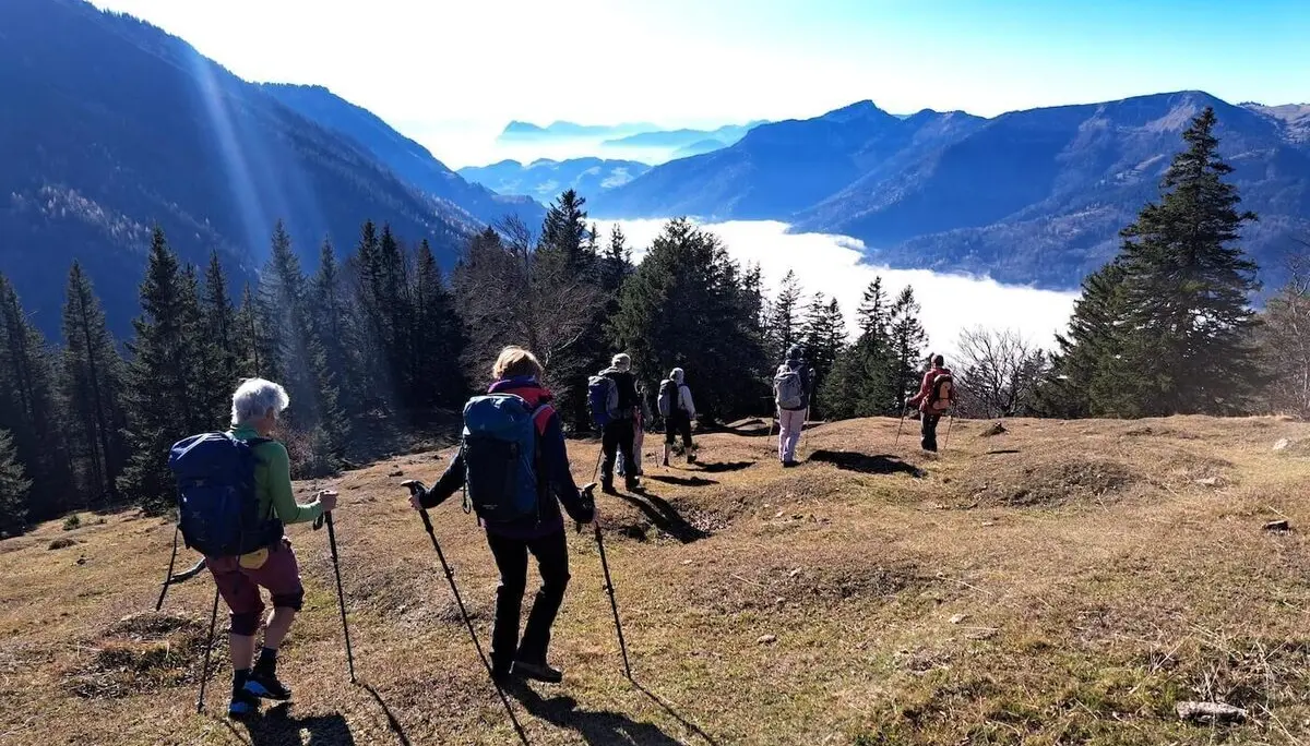 Eine Wandergruppe steigt über einen grasbewachsenen Hang mit Blick auf nebelverhangene Berggipfel hinab. Die Sonne steht tief und wirft lange Schatten, die Szenerie wirkt friedlich und weit. Umgeben von Nadelbäumen und klarer Bergluft vermittelt das Bild Ruhe und Naturerlebnis. | © DAV Markt Schwaben | Foto: Tanja Döhler