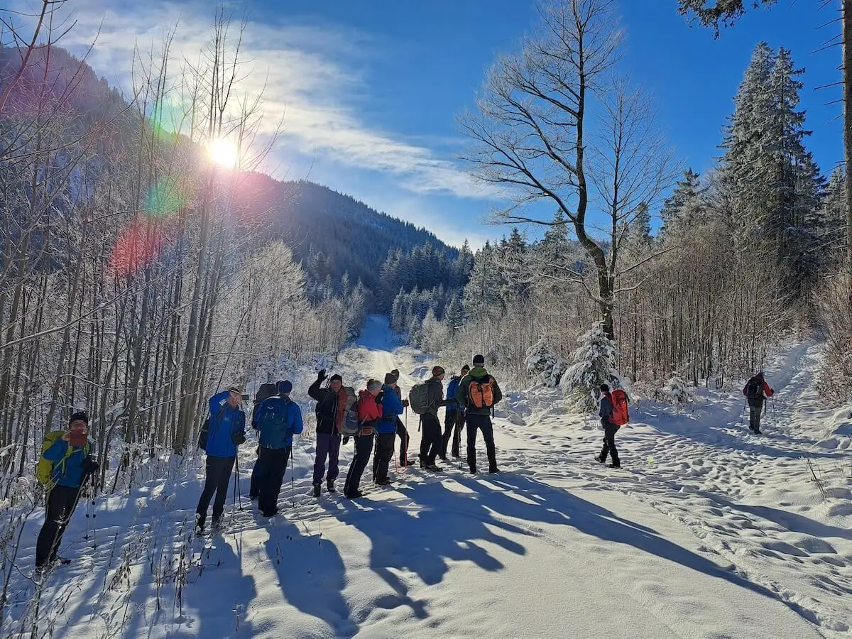 Wandergruppe mit Stöcken und Rucksäcken auf verschneitem Waldpfad, Sonnenlicht fällt durch hohe Bäume von rechts. | © DAV Markt Schwaben · Foto Tanja Döhler