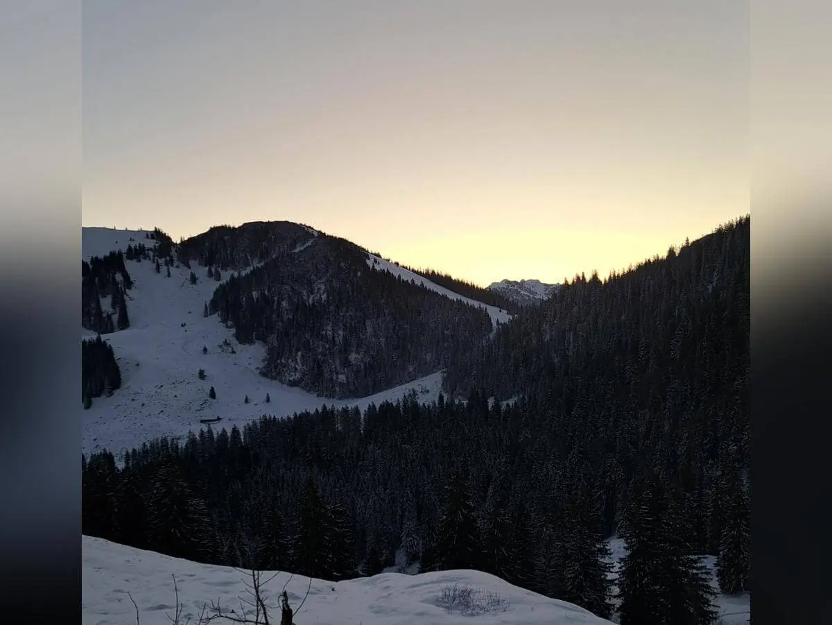 Verschneite Berglandschaft mit Nadelwäldern im sanften Licht des Sonnenaufgangs, klare Sicht auf Gipfel und Täler. | © DAV Markt Schwaben · Foto Tanja Döhler
