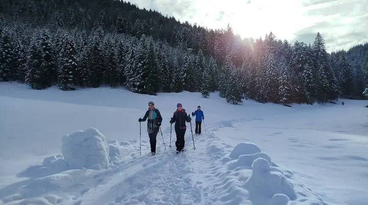 Drei Wandernde folgen einem verschneiten Waldweg; Sonnenlicht fällt durch Tannen und wirft Schatten auf den Schnee. | © DAV Markt Schwaben | Foto: Christine Strasser