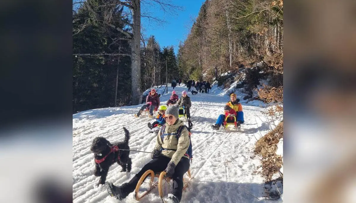 Mehrere Personen rodeln auf Holzschlitten einen sonnigen Waldweg hinab, begleitet von einem laufenden schwarzen Hund.. | © DAV Markt Schwaben/Silke Titze
