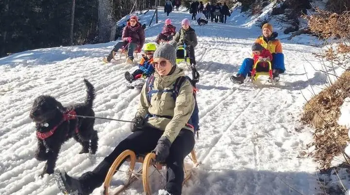 Mehrere Personen rodeln auf Holzschlitten einen sonnigen Waldweg hinab, begleitet von einem laufenden schwarzen Hund.. | © DAV Markt Schwaben/Silke Titze