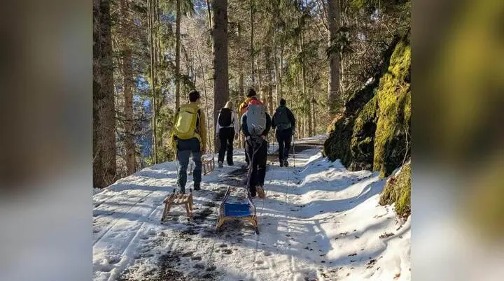 Mehrere Erwachsene wandern mit Holzschlitten auf einem sonnigen Waldweg, umgeben von verschneiten Bäumen. | © DAV Markt Schwaben | Foto: Silke Titze