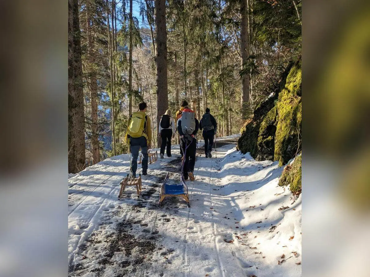 Mehrere Erwachsene wandern mit Holzschlitten auf einem sonnigen Waldweg, umgeben von verschneiten Bäumen. | © DAV Markt Schwaben/Silke Titze