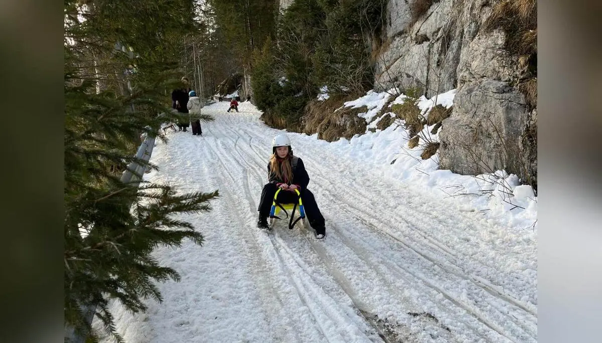 Ein Jugendlicher der Jugendgruppen Bergdohlen rodelt auf einem Winterweg durch den Wald, links Fichten, rechts eine Felswand mit Schnee. | © DAV Markt Schwaben / Wiebke Rauschenbach