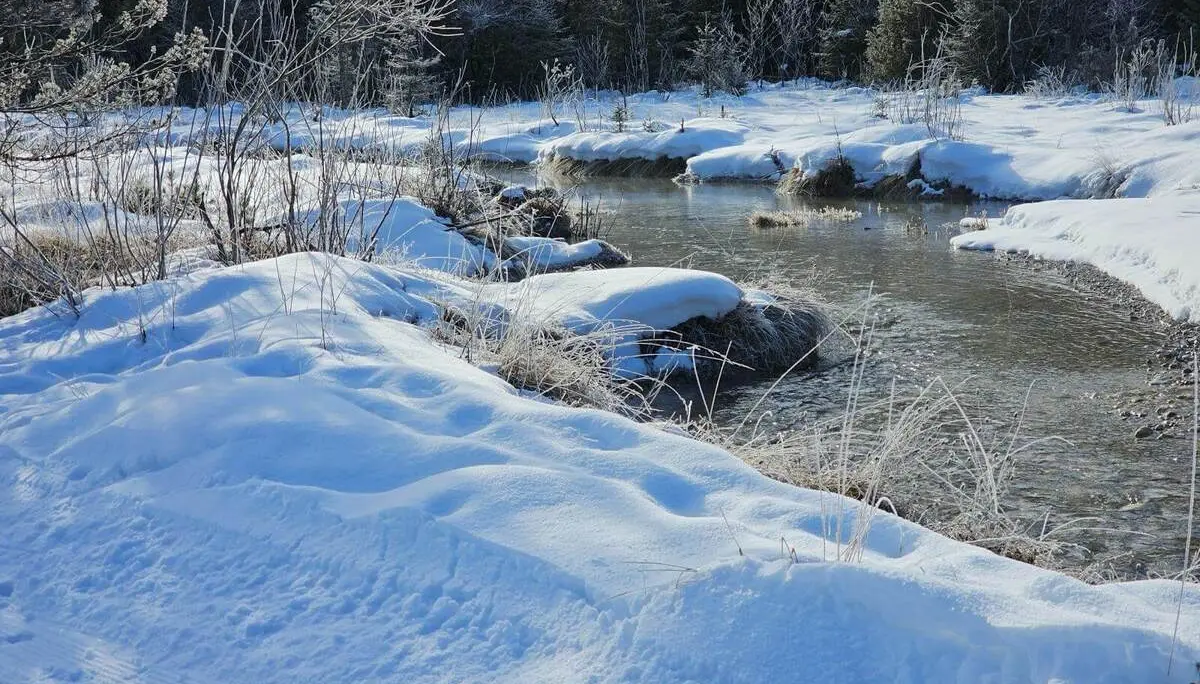 Ein schmaler Bach schlängelt sich durch verschneite Wiesen und Sträucher. Die Langlaufloipe verläuft am Rand der winterlichen Flusslandschaft. | © DAV Markt Schwaben/Lutz Gründel