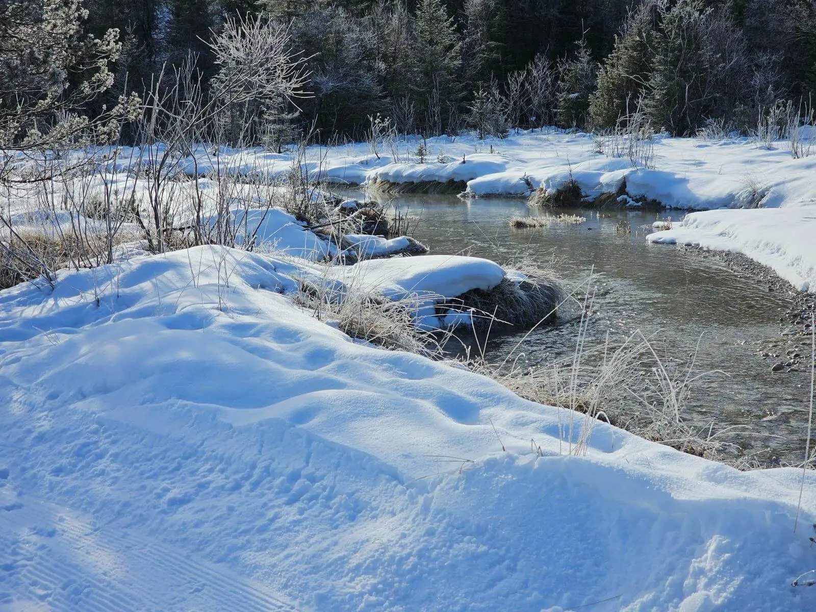 Ein schmaler Bach schlängelt sich durch verschneite Wiesen und Sträucher. Die Langlaufloipe verläuft am Rand der winterlichen Flusslandschaft. | © DAV Markt Schwaben/Lutz Gründel