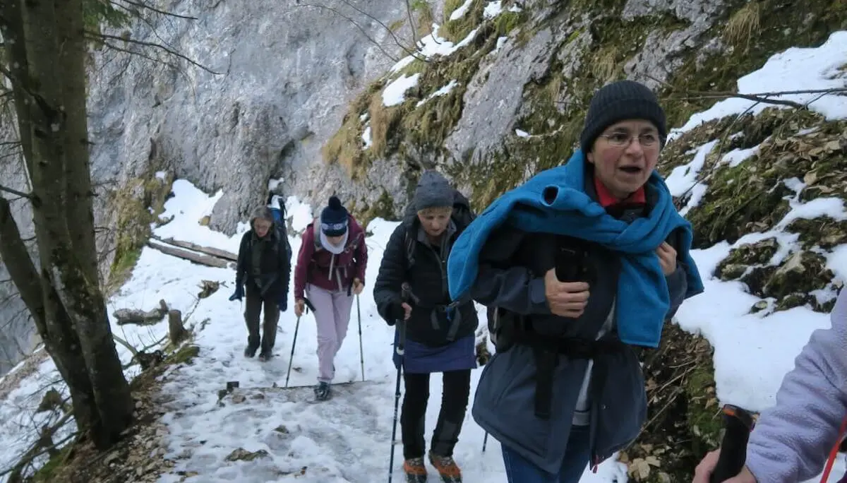 Fünf Erwachsene steigen auf einem schmalen, vereisten Bergpfad zwischen Felswänden auf, gestützt von Stöcken und winterlicher Ausrüstung. | © DAV Markt Schwaben / Erwin Matzinger