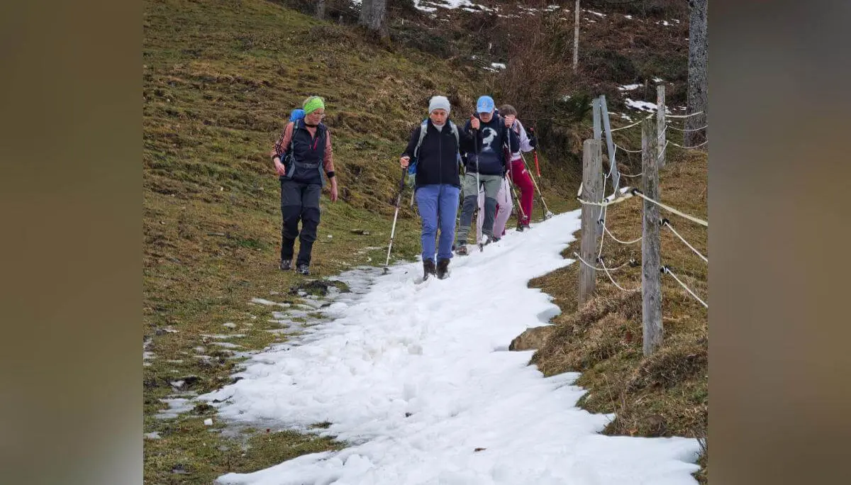Fünf Wandernde steigen mit Stöcken einen teils verschneiten Hang hinab; rechts verläuft ein Holzgeländer, dahinter offenes Berggelände. | © DAV Markt Schwaben/Erwin Matzinger