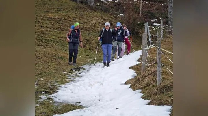 Fünf Wandernde steigen mit Stöcken einen teils verschneiten Hang hinab; rechts verläuft ein Holzgeländer, dahinter offenes Berggelände. | © DAV Markt Schwaben/Erwin Matzinger