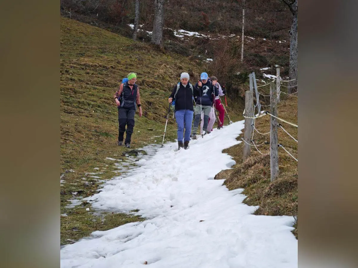 Fünf Wandernde steigen mit Stöcken einen teils verschneiten Hang hinab; rechts verläuft ein Holzgeländer, dahinter offenes Berggelände. | © DAV Markt Schwaben/Erwin Matzinger