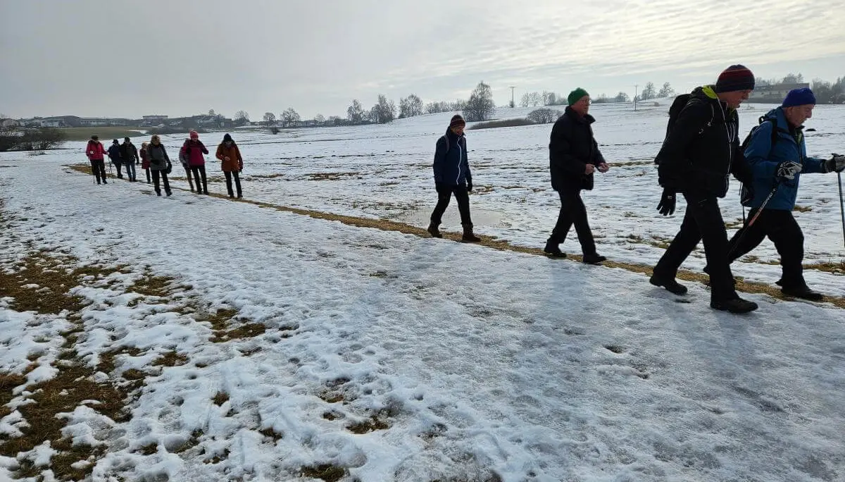 Seniorinnen und Senioren wandern in einer Reihe über einen verschneiten Feldweg; im Hintergrund liegen offene Wiesen und einzelne Bäume. | © DAV Markt Schwaben/Hubert Inhofer