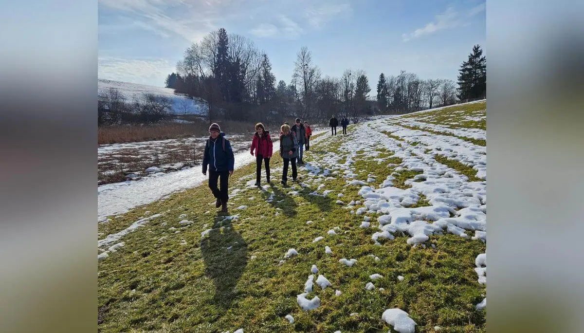 Seniorinnen und Senioren gehen über einen sonnigen Hang mit schmelzendem Schnee; lange Schatten fallen über die Wiese, im Hintergrund stehen Bäume. | © DAV Markt Schwaben/Hubert Inhofer