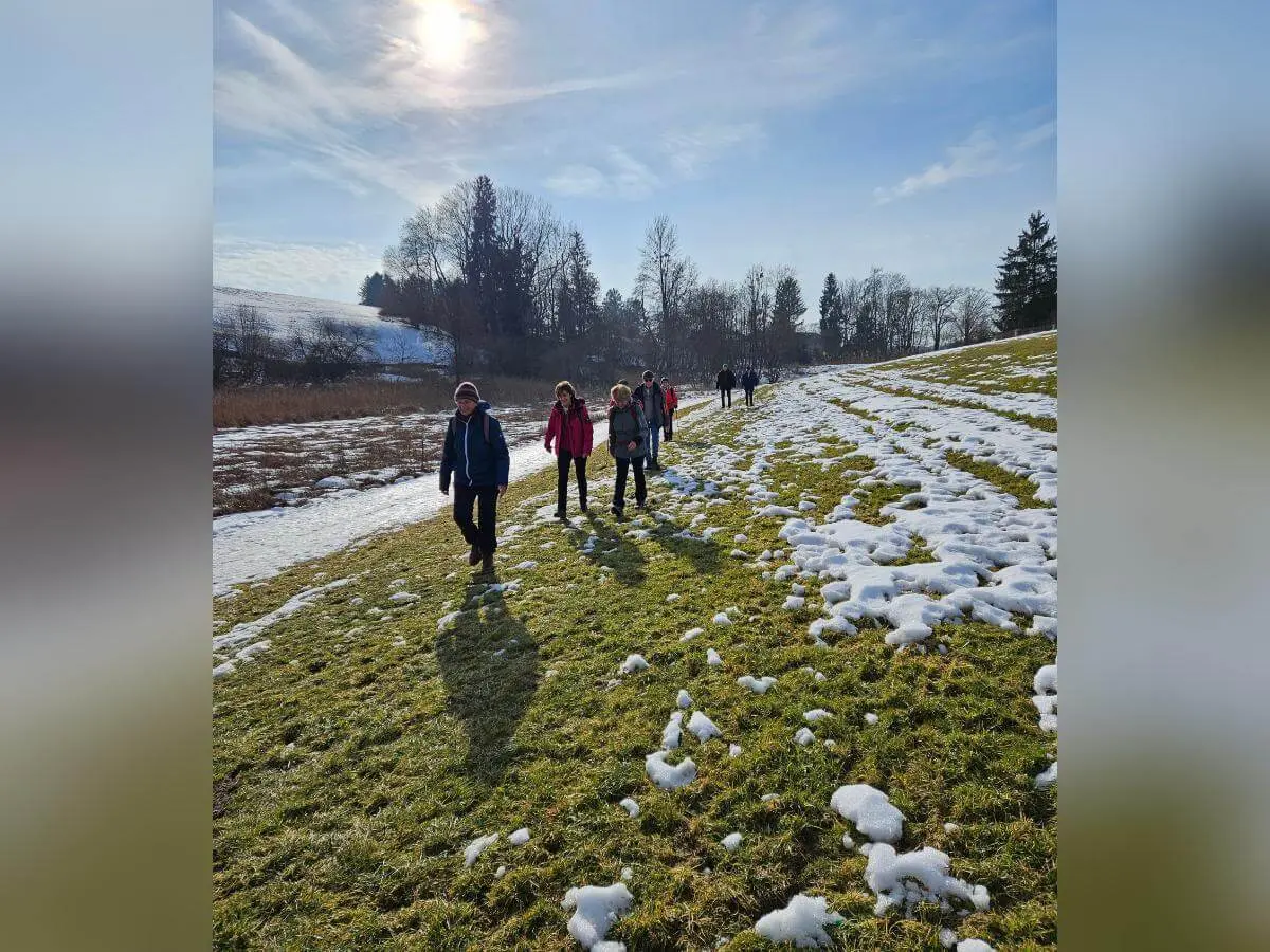 Seniorinnen und Senioren gehen über einen sonnigen Hang mit schmelzendem Schnee; lange Schatten fallen über die Wiese, im Hintergrund stehen Bäume. | © DAV Markt Schwaben/Hubert Inhofer