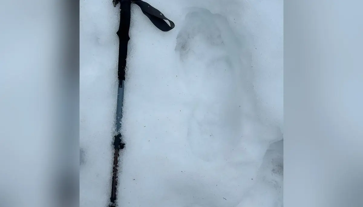 Ein Trekkingstock liegt im Schnee neben einem verwischten Fußabdruck; die Spur befindet sich in winterlicher Umgebung nahe dem DAV‑Haus Spitzingsee. | © DAV Markt Schwaben