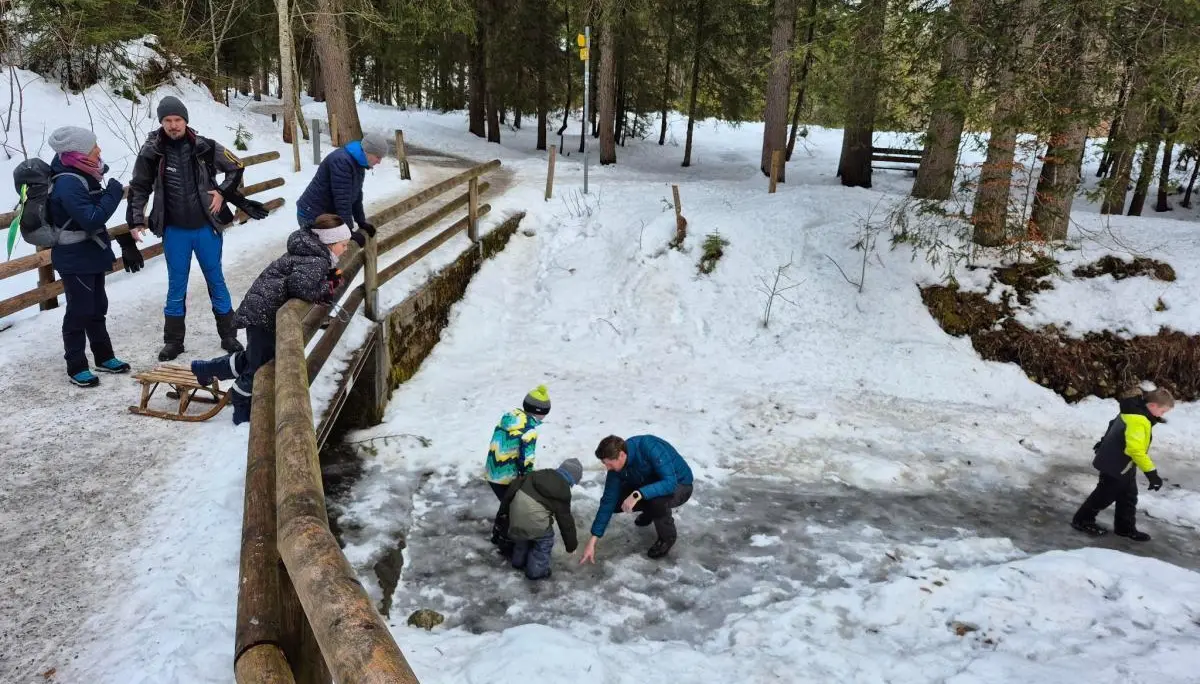 Kinder und Erwachsene stehen auf einer Holzbrücke und am gefrorenen Bach; einige spielen auf dem Eis, andere ziehen einen Schlitten durch den winterlichen Wald. | © DAV Markt Schwaben