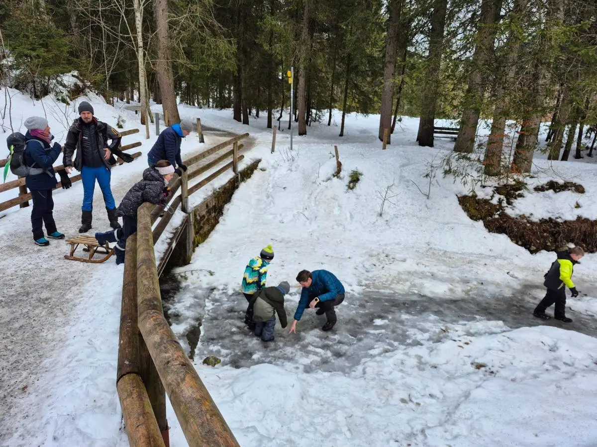 Kinder und Erwachsene stehen auf einer Holzbrücke und am gefrorenen Bach; einige spielen auf dem Eis, andere ziehen einen Schlitten durch den winterlichen Wald. | © DAV Markt Schwaben