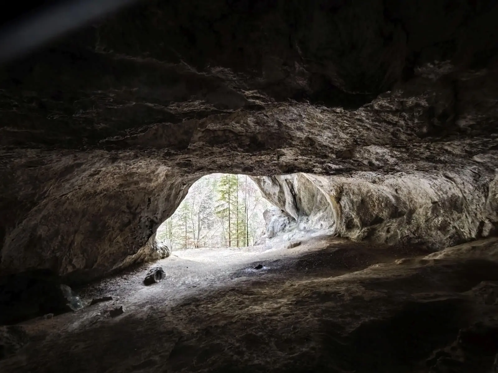 Der Blick aus einer dunklen Felsenhöhle zeigt hohe Bäume und eine helle, winterliche Waldszene außerhalb des Höhleneingangs. | © DAV Markt Schwaben/Erwin Matzinger