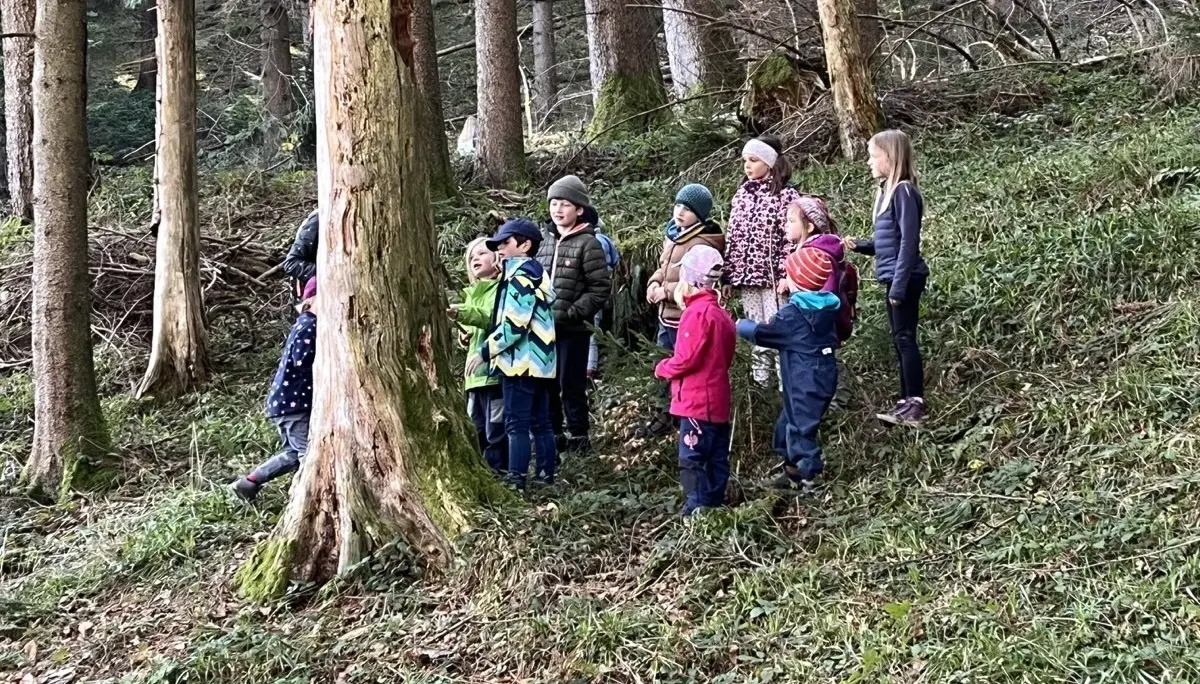 Mehrere Kinder stehen in bunter Outdoor‑Kleidung zwischen hohen Bäumen und erkunden gemeinsam den Wald. | © DAV Markt Schwaben/Silke Titze