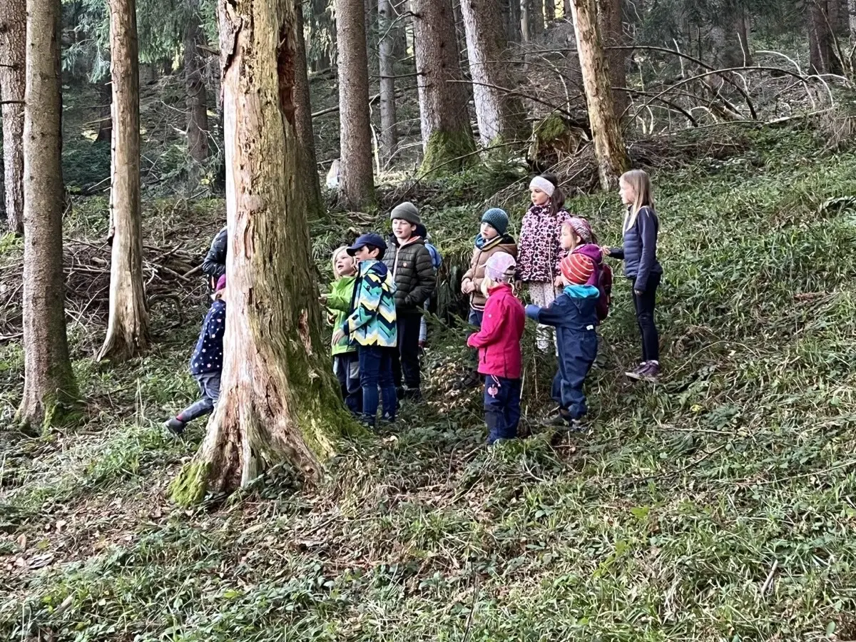 Mehrere Kinder stehen in bunter Outdoor‑Kleidung zwischen hohen Bäumen und erkunden gemeinsam den Wald. | © DAV Markt Schwaben/Silke Titze