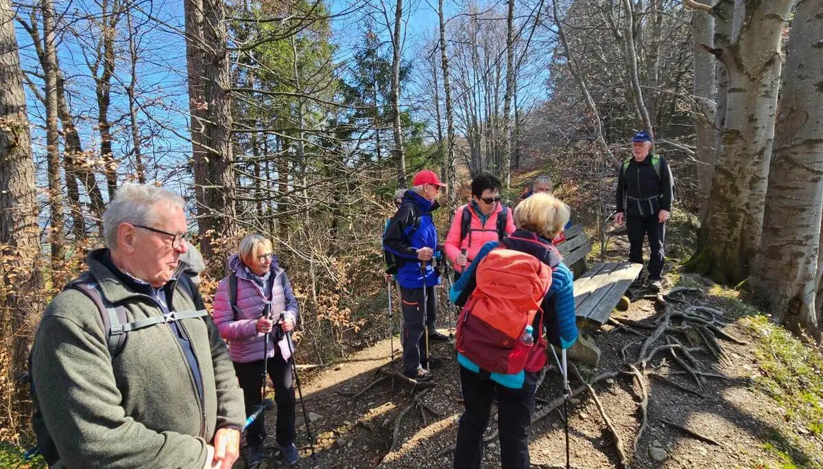 Seniorenwandergruppe macht eine kurze Rast auf einem Waldweg, Wanderstöcke und Sitzbank zwischen hohen Bäumen sichtbar. | © DAV Markt Schwaben