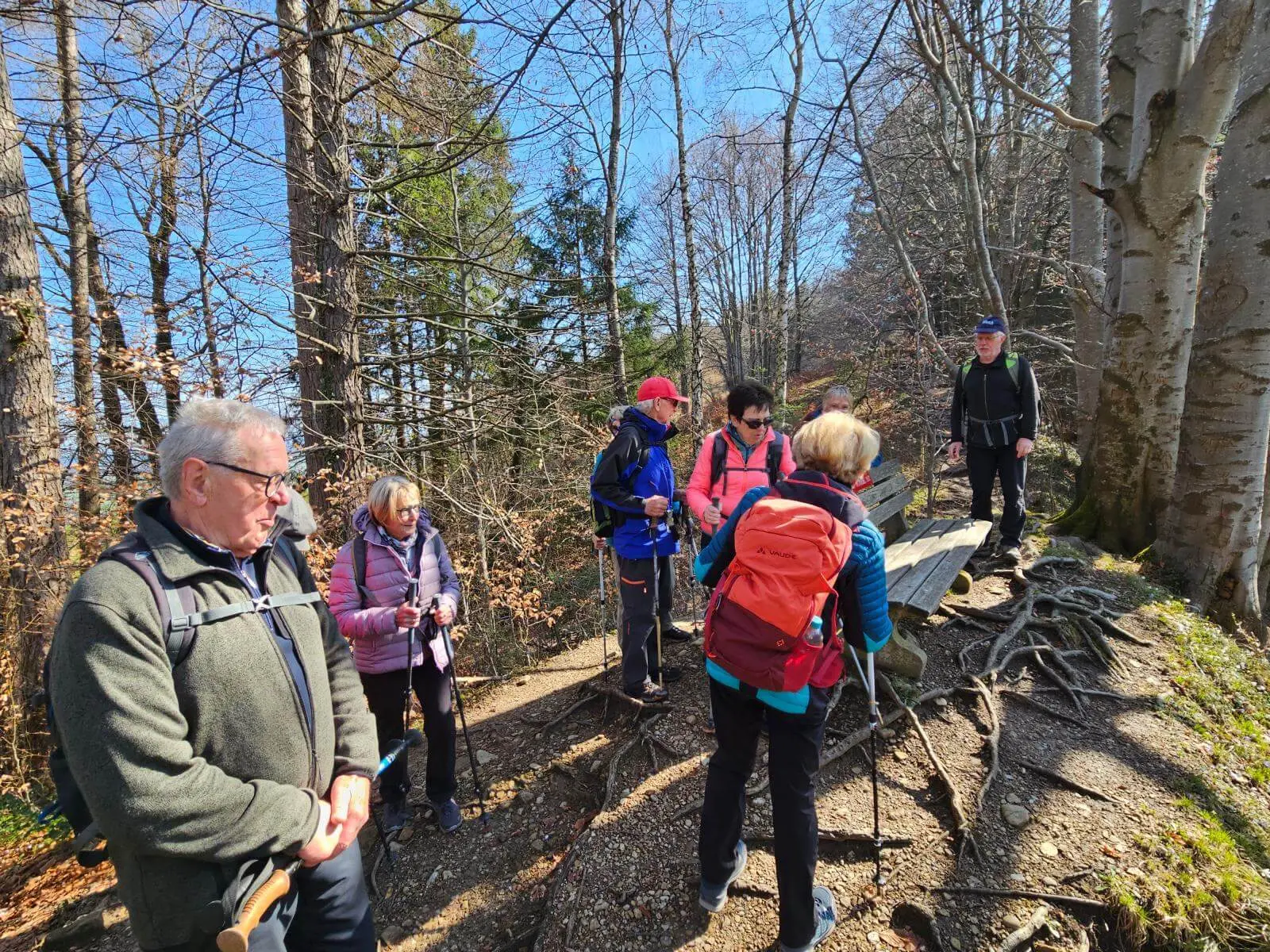 Seniorenwandergruppe macht eine kurze Rast auf einem Waldweg, Wanderstöcke und Sitzbank zwischen hohen Bäumen sichtbar. | © DAV Markt Schwaben