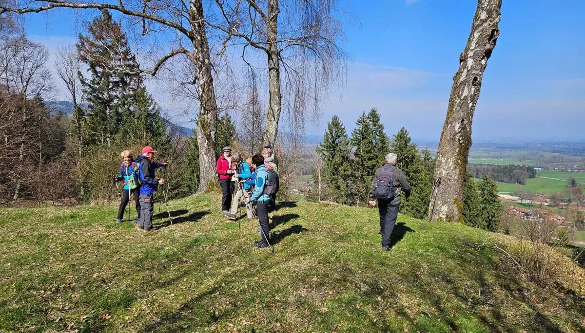 Mehrere Teilnehmende der Seniorengruppe stehen auf einer freien Anhöhe zwischen Bäumen, mit Wanderstöcken und Blick ins Tal bei klarer Sicht. | © DAV Markt Schwaben