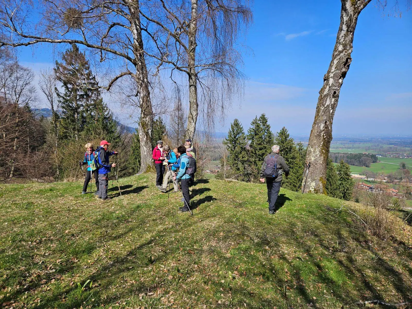 Mehrere Teilnehmende der Seniorengruppe stehen auf einer freien Anhöhe zwischen Bäumen, mit Wanderstöcken und Blick ins Tal bei klarer Sicht. | © DAV Markt Schwaben