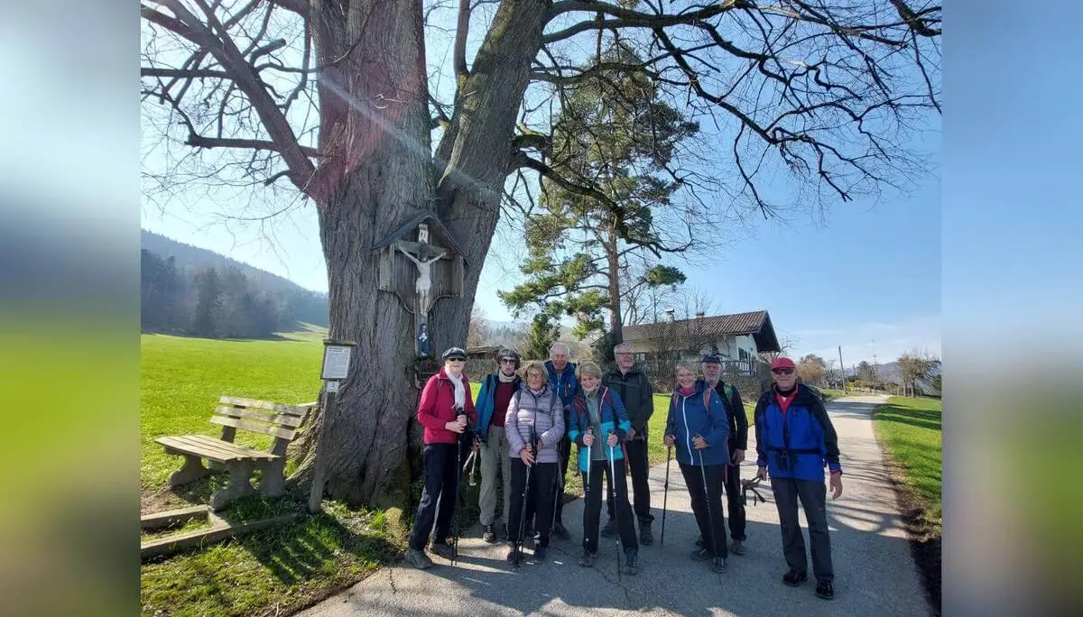 Neun Teilnehmende der Seniorengruppe stehen mit Wanderstöcken vor einem großen Baum mit Wegkreuz am ruhigen Ortsrand. | © DAV Markt Schwaben