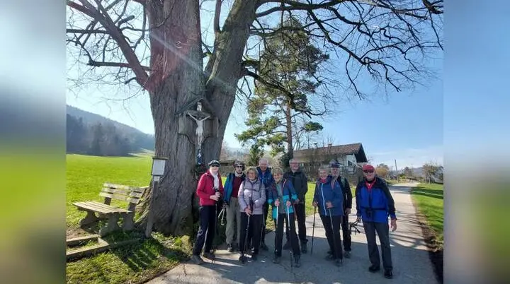 Neun Teilnehmende der Seniorengruppe stehen mit Wanderstöcken vor einem großen Baum mit Wegkreuz am ruhigen Ortsrand. | © DAV Markt Schwaben