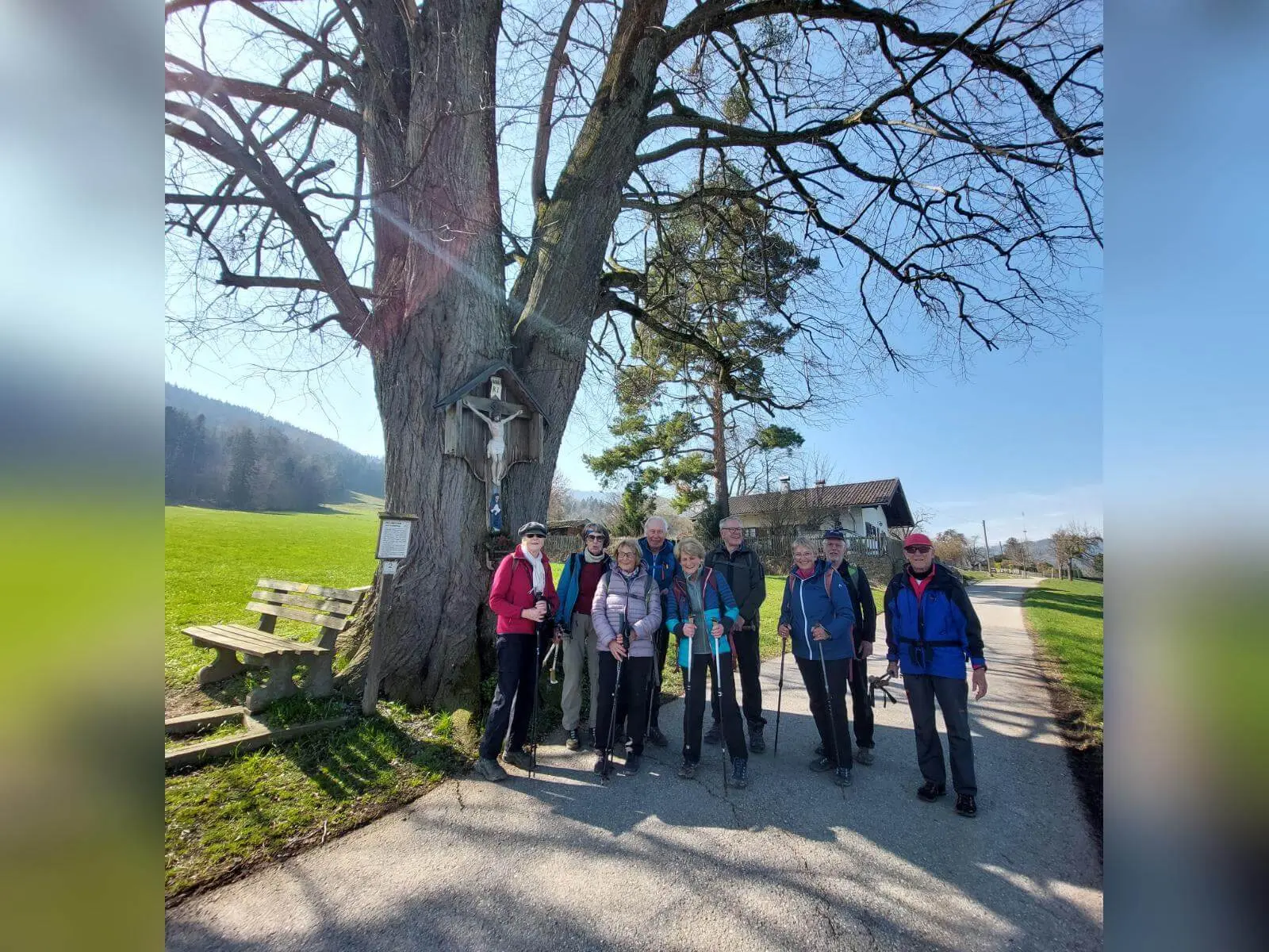 Neun Teilnehmende der Seniorengruppe stehen mit Wanderstöcken vor einem großen Baum mit Wegkreuz am ruhigen Ortsrand. | © DAV Markt Schwaben