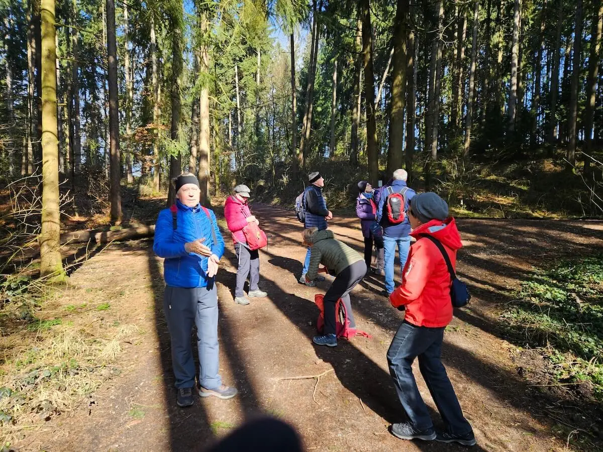 Mehrere Wandernde stehen auf einem Waldweg; vorne Personen im Gespräch, dahinter hohe Bäume und Sonnenlicht zwischen den Stämmen. | © DAV Markt Schwaben/Hubert Inhofer