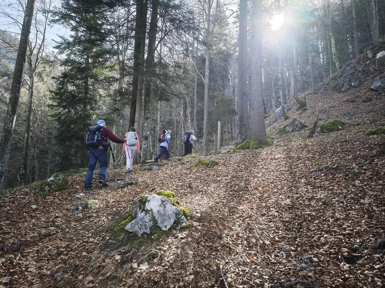 Fünf Wandernde steigen durch einen lichten Waldhang mit Laub und Moosfelsen, während Sonnenlicht durch die kahlen Bäume fällt. | © DAV Markt Schwaben/Erwin Matzinger