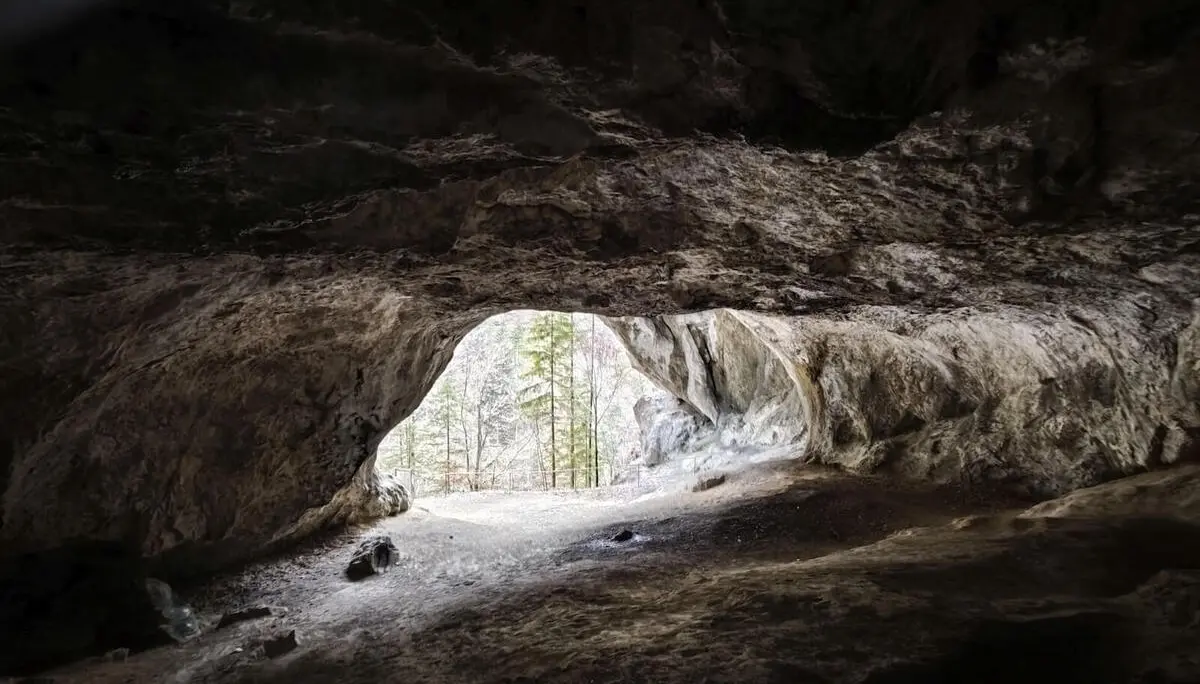 Der Blick aus einer dunklen Felsenhöhle zeigt hohe Bäume und eine helle, winterliche Waldszene außerhalb des Höhleneingangs. | © DAV Markt Schwaben/Erwin Matzinger