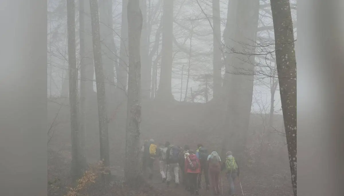 Eine Gruppe Wandernder mit Rucksäcken geht auf einem Waldweg durch dichten Nebel zwischen kahlen Laubbäumen bergauf. | © DAV Markt Schwaben/Erwin Matzinger
