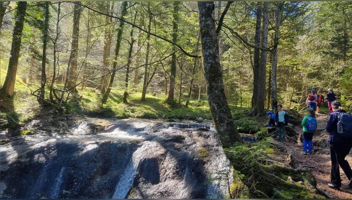 Familiengruppe mit Kindern wandert auf schmalem Pfad durch lichten Wald entlang eines felsigen Bachlaufs mit Sonnenlicht. | © DAV Markt Schwaben/Maria Wenisch
