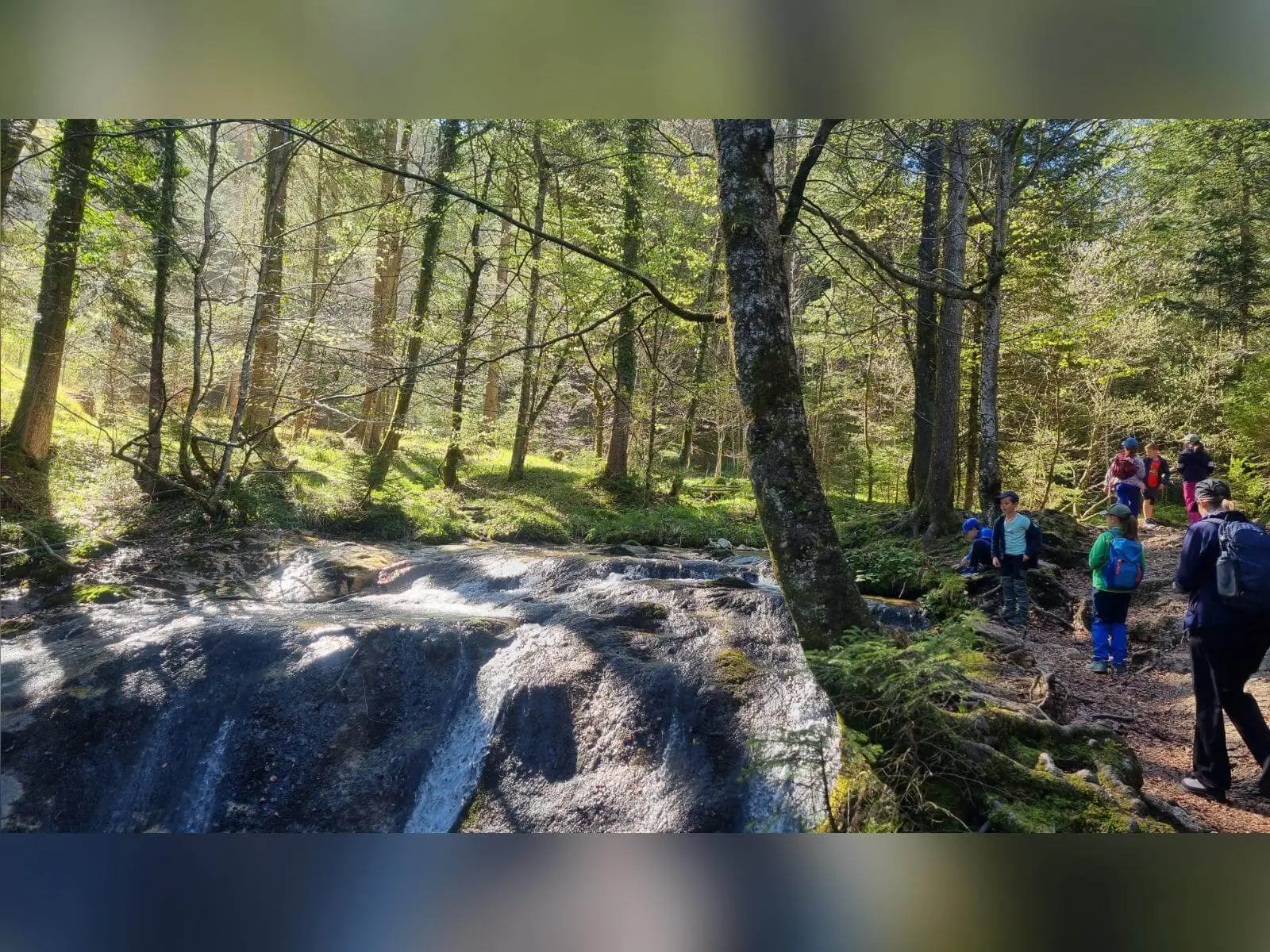 Familiengruppe mit Kindern wandert auf schmalem Pfad durch lichten Wald entlang eines felsigen Bachlaufs mit Sonnenlicht. | © DAV Markt Schwaben/Maria Wenisch