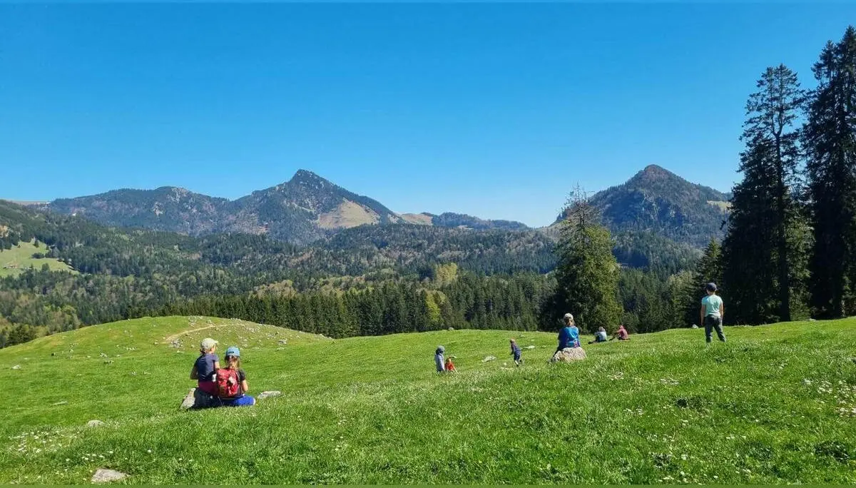 Kinder und Erwachsene verteilen sich auf grüner Almwiese und blicken auf bewaldete Berghänge und Gipfel unter klarem Himmel. | © DAV Markt Schwaben/Maria Wenisch