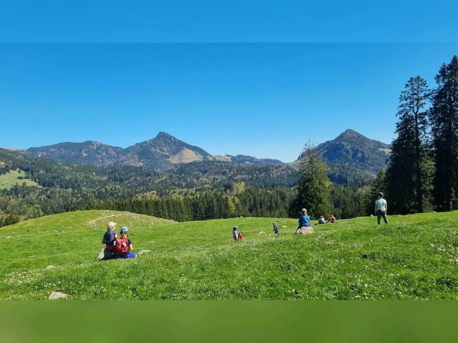 Kinder und Erwachsene verteilen sich auf grüner Almwiese und blicken auf bewaldete Berghänge und Gipfel unter klarem Himmel. | © DAV Markt Schwaben/Maria Wenisch