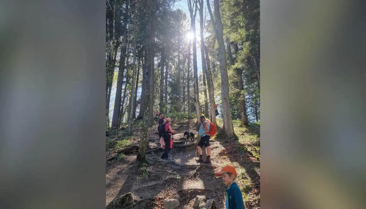 Familiengruppe mit Kindern steigt auf schmalem, wurzeligem Waldpfad bergab; Sonnenlicht fällt durch hohe Bäume auf den Weg. | © DAV Markt Schwaben/Maria Wenisch