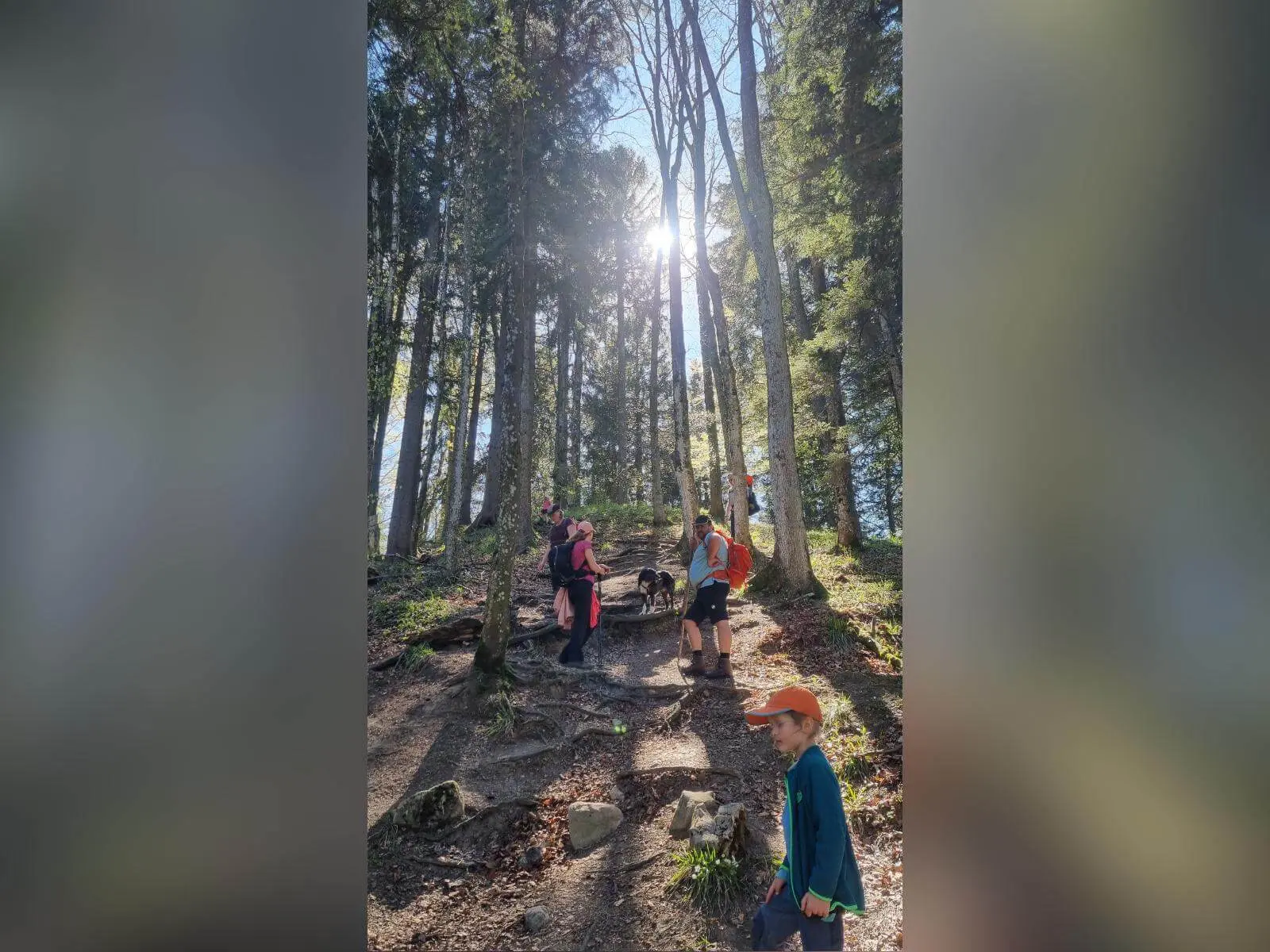 Familiengruppe mit Kindern steigt auf schmalem, wurzeligem Waldpfad bergab; Sonnenlicht fällt durch hohe Bäume auf den Weg. | © DAV Markt Schwaben/Maria Wenisch