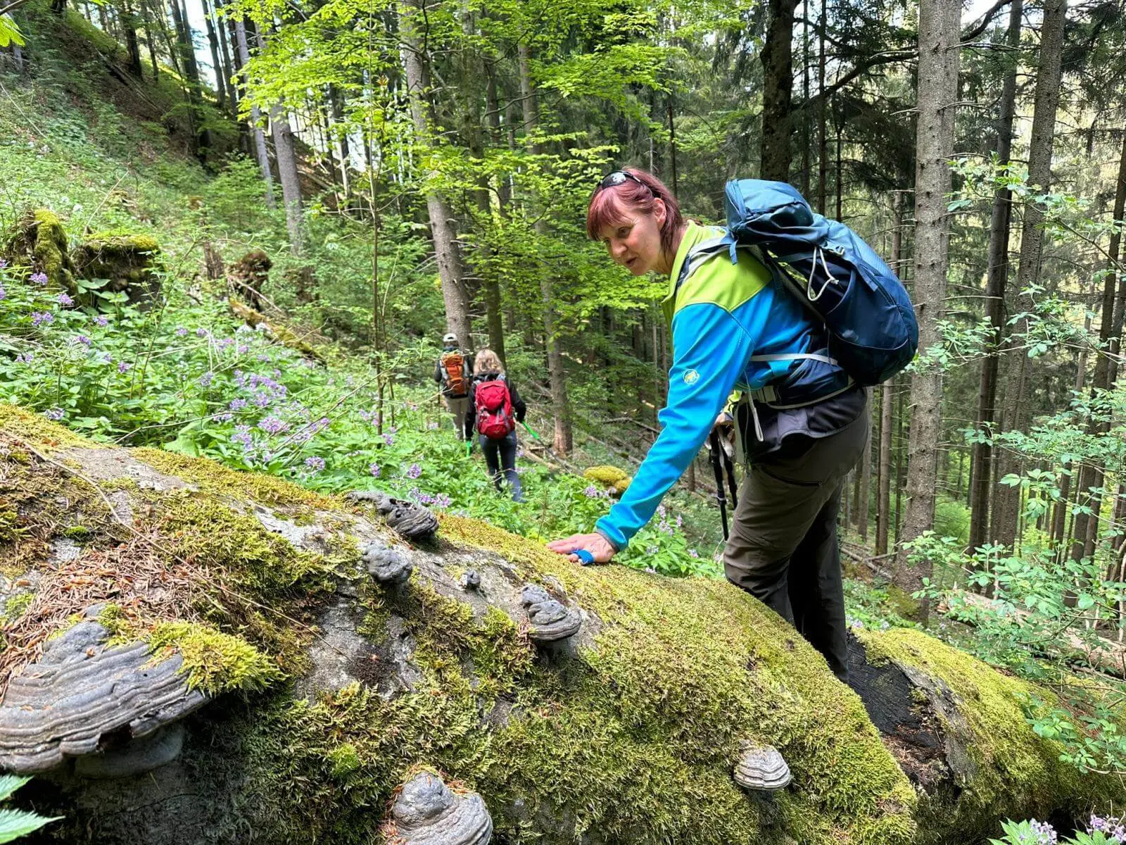 Wandernde Person berührt einen moosbewachsenen Baumstamm im Wald, im Hintergrund gehen weitere Personen zwischen frischem Grün und Blumen. | © DAV Markt Schwaben/Elke Kressirer